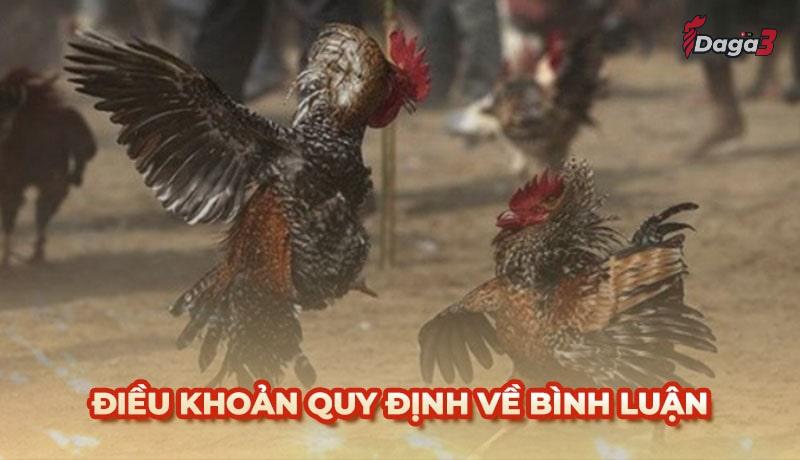 Người dùng cần tuân thủ một số điều khoản khi bình luận trên www.shriyantexfab.in