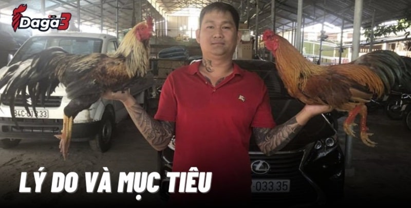 Mít Trà Cú sáng lập trang đá gà trực tiếp www.shriyantexfab.in